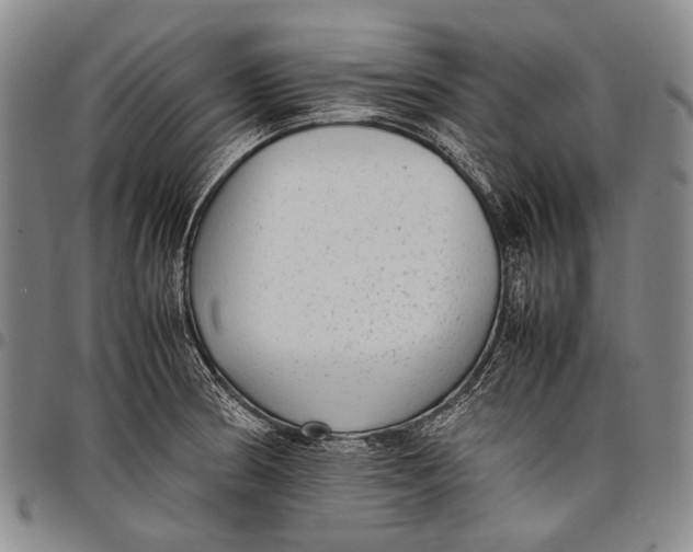 X0000097961186200804141020