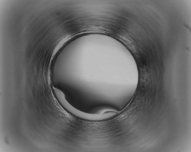 X0000097961188200804141020