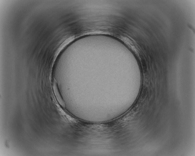X0000097961189200804141020
