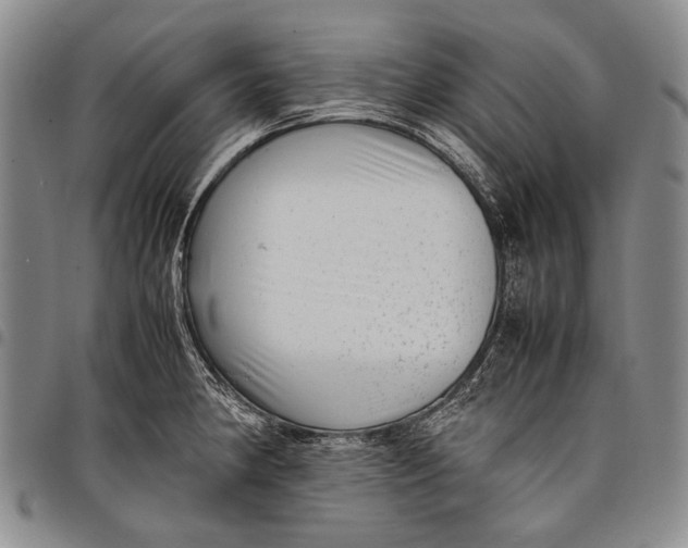 X0000097961190200804141020