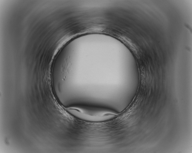 X0000097961192200804141020