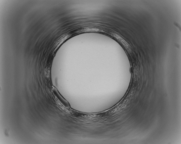 X0000097961193200804141020