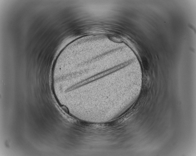 X0000097961195200804141020