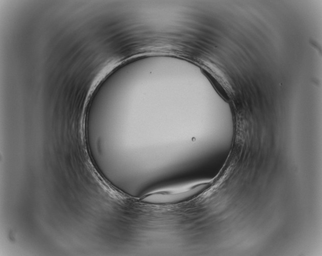 X0000097961196200804141020