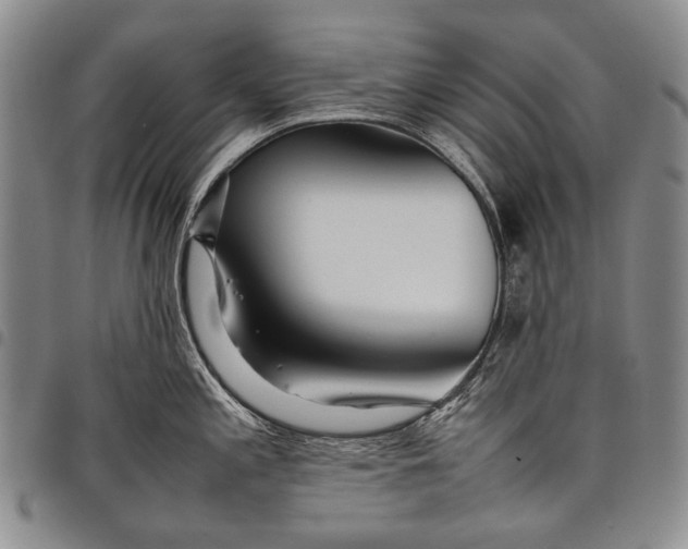 X0000097961197200804141020