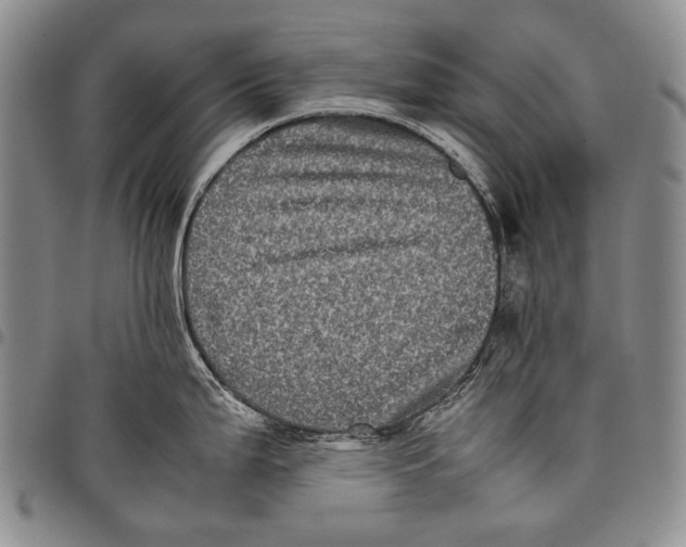 X0000097961199200804141020
