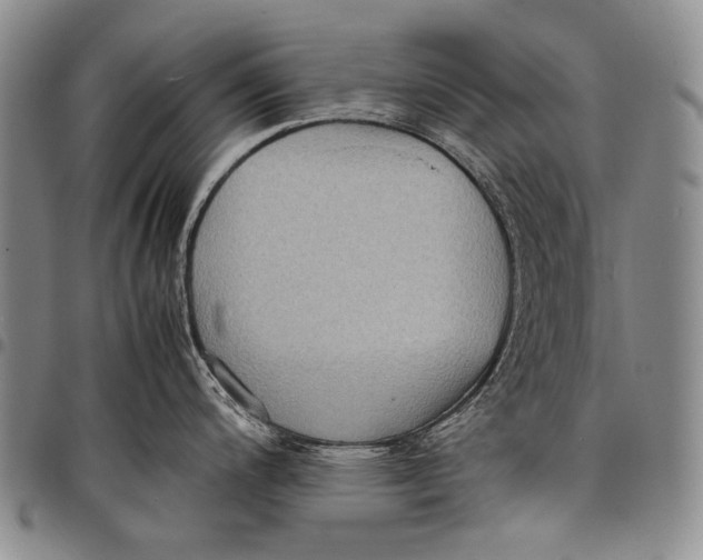 X0000097961200200804141020