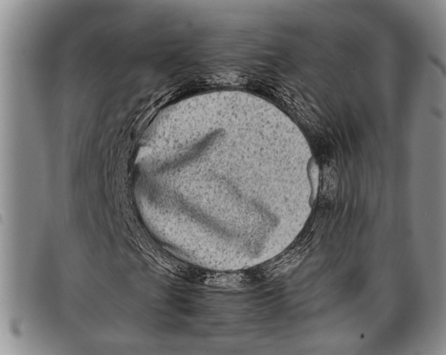 X0000097961201200804141019