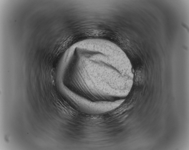 X0000097961202200804141019