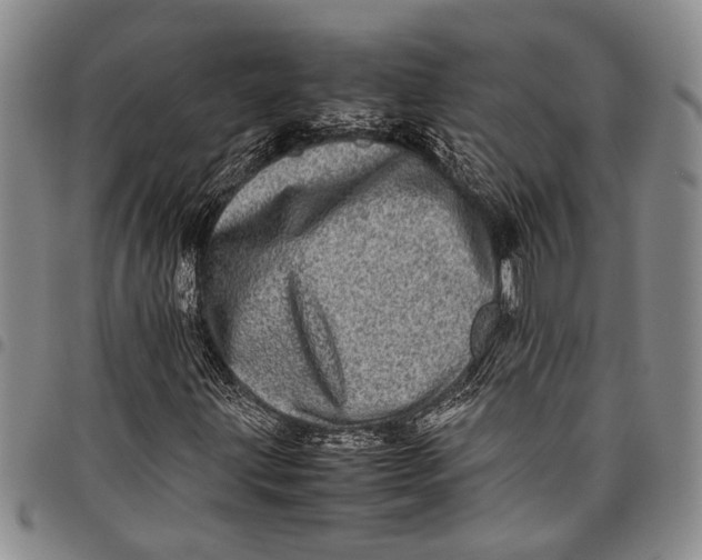 X0000097961203200804141019