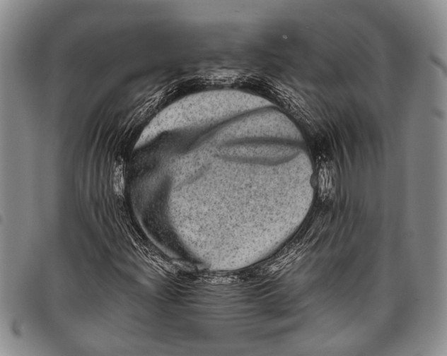 X0000097961204200804141019