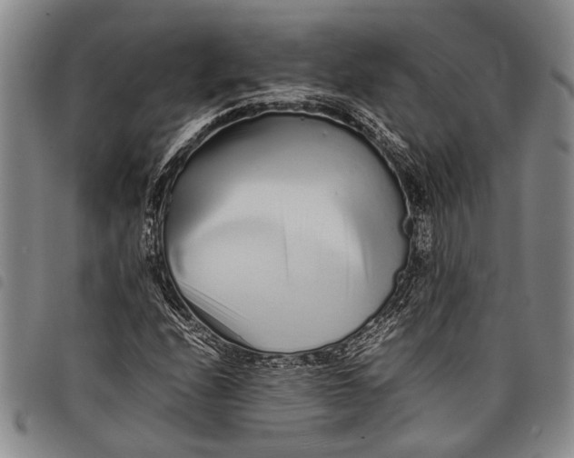 X0000097961208200804141020