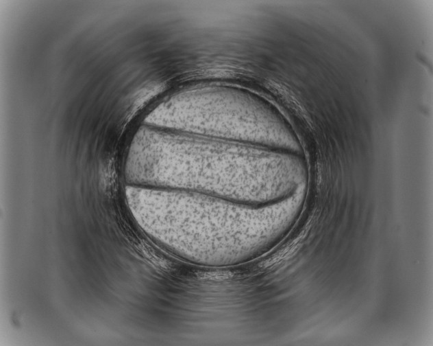 X0000097961210200804141020