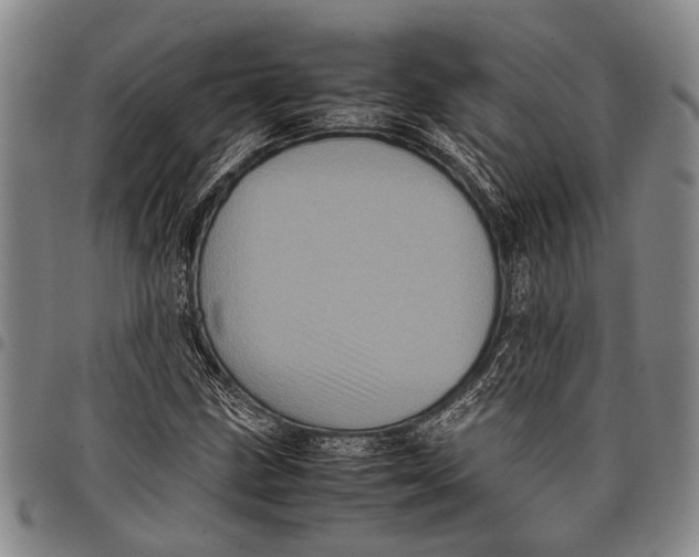 X0000097961211200804141020