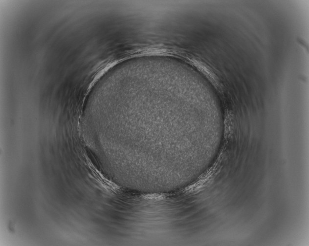 X0000097961212200804141020