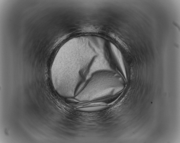 X0000097961213200804141020