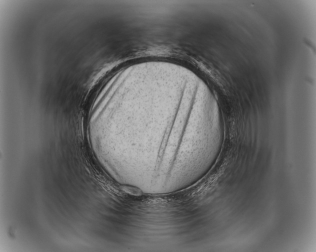 X0000097961214200804141020