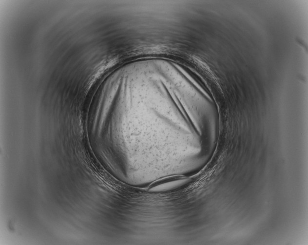 X0000097961218200804141020