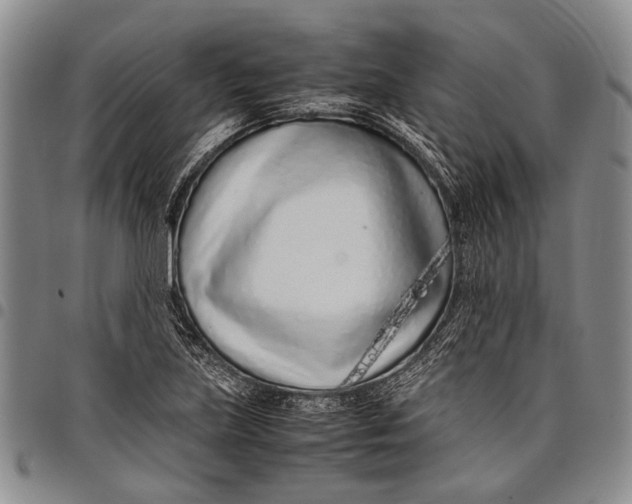 X0000097961219200804141020