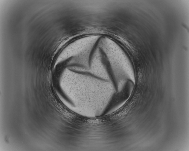 X0000097961220200804141020