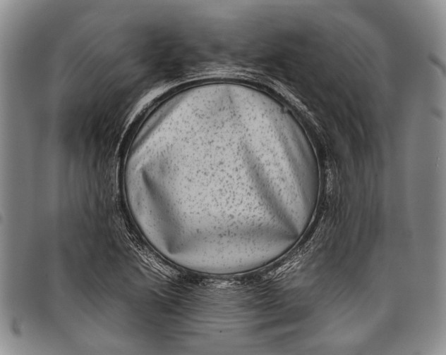 X0000097961222200804141020