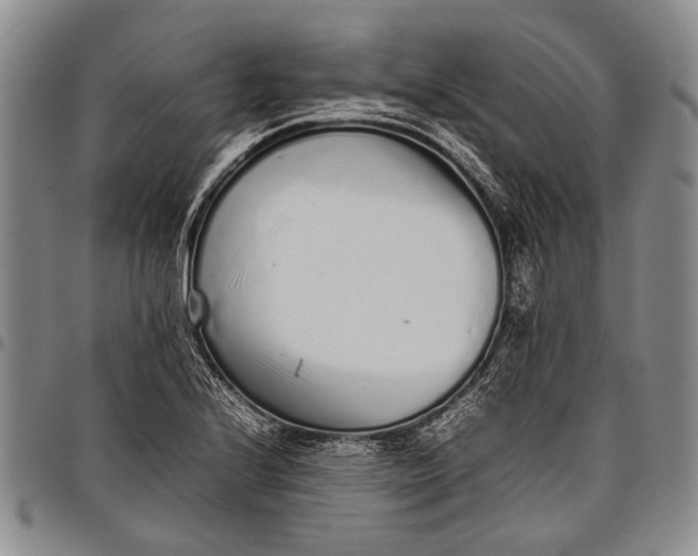 X0000097961224200804141020