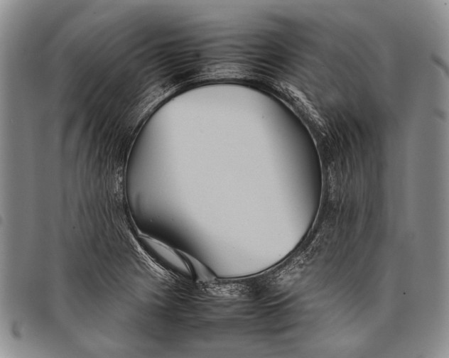 X0000097961225200804141020