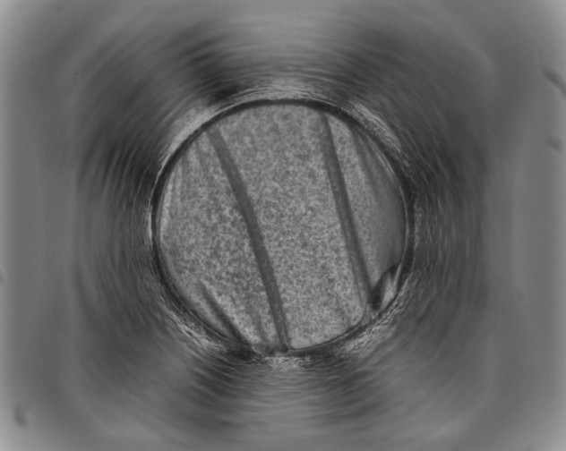 X0000097961226200804141020