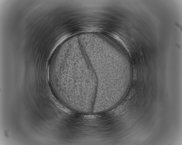X0000097961227200804141020