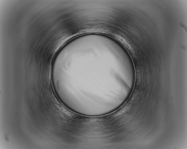 X0000097961228200804141020