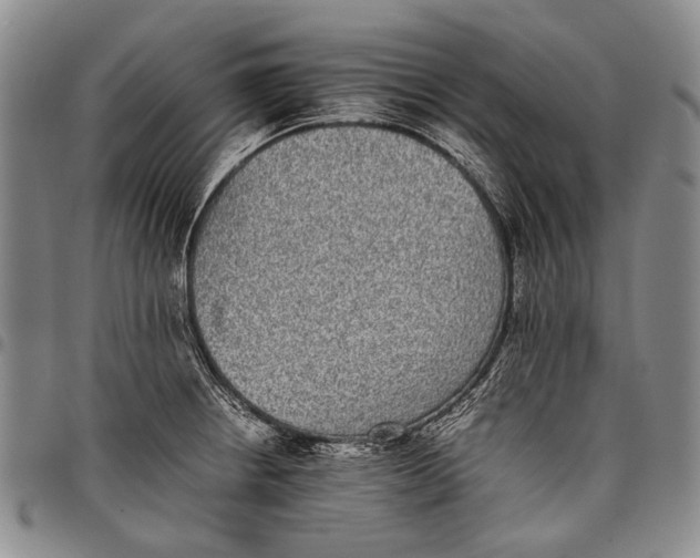X0000097961234200804141020