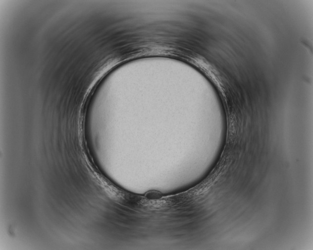X0000097961235200804141020