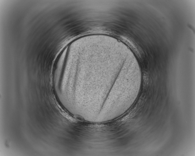 X0000097961236200804141020