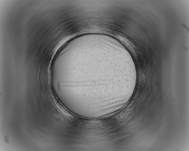 X0000097961238200804141020