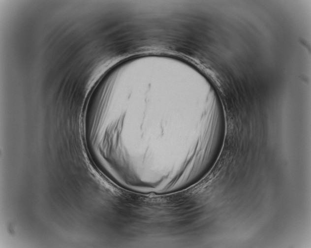 X0000097961239200804141020