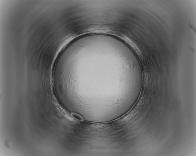X0000097961240200804141020
