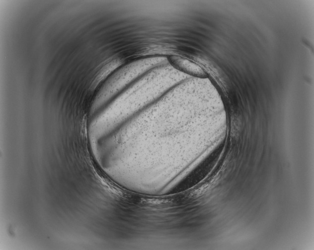 X0000097961241200804141020