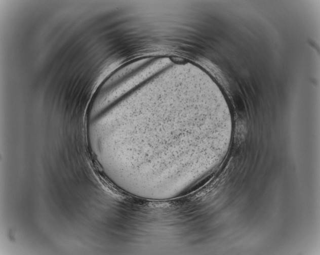 X0000097961242200804141020
