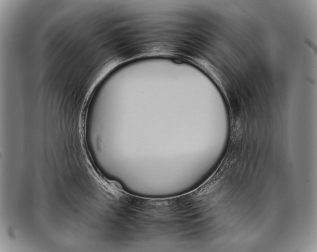 X0000097961243200804141020