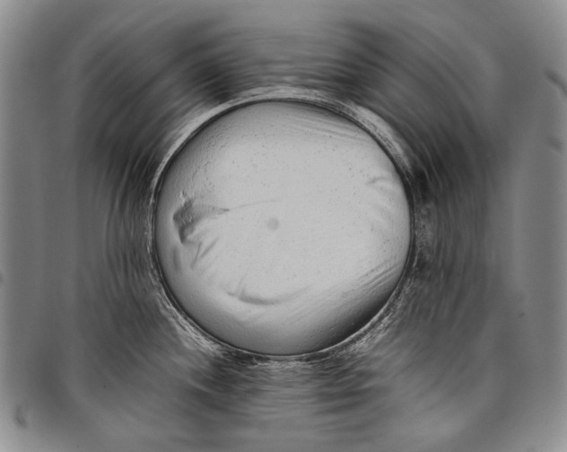X0000097961244200804141020