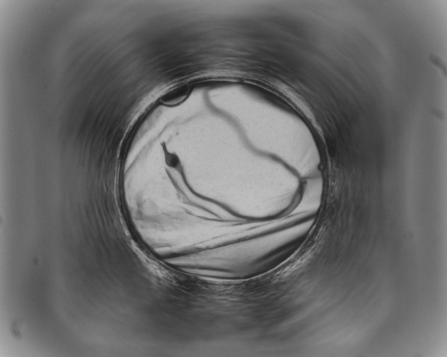 X0000097961245200804141020