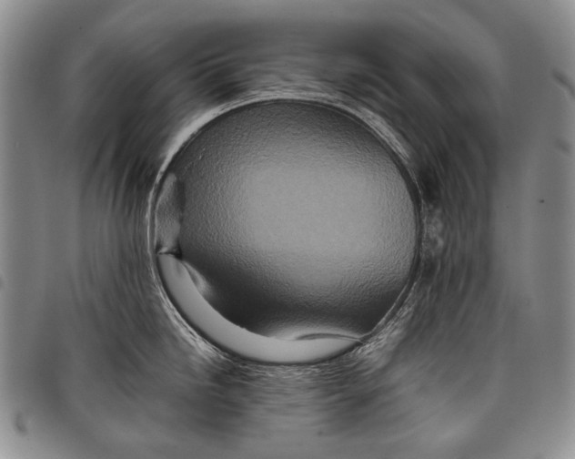 X0000097961246200804141020