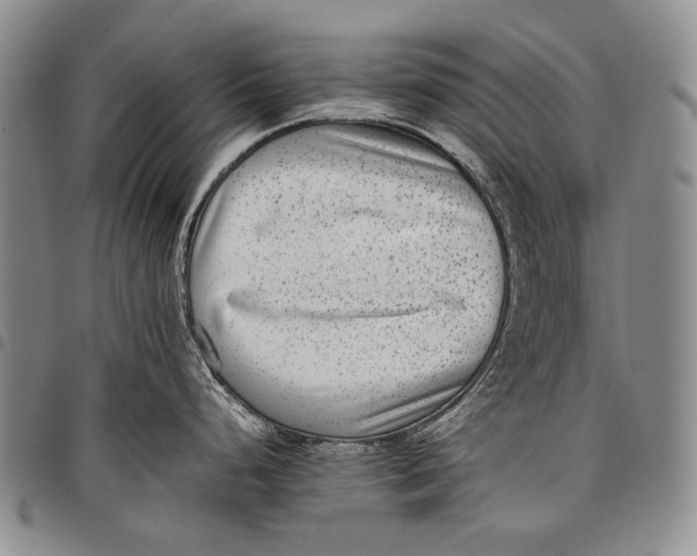 X0000097961248200804141020