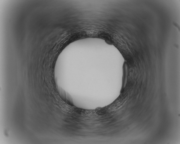 X0000097961249200804141019