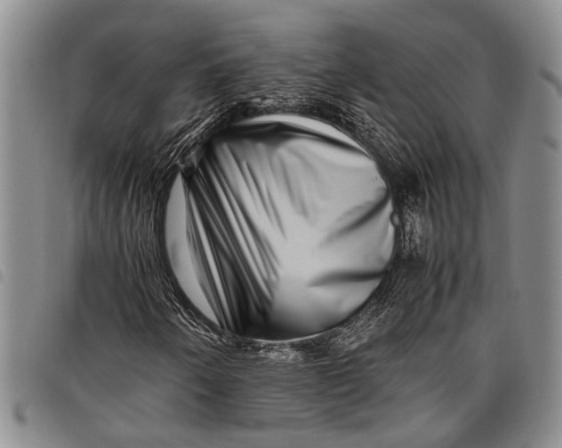 X0000097961250200804141019