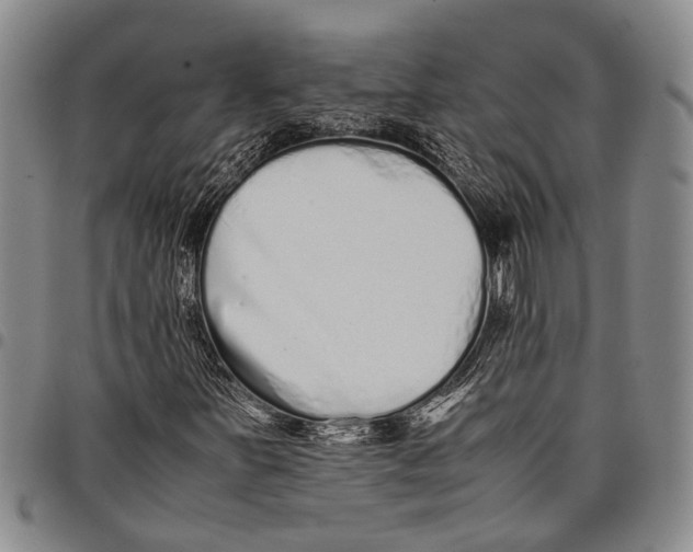 X0000097961251200804141019
