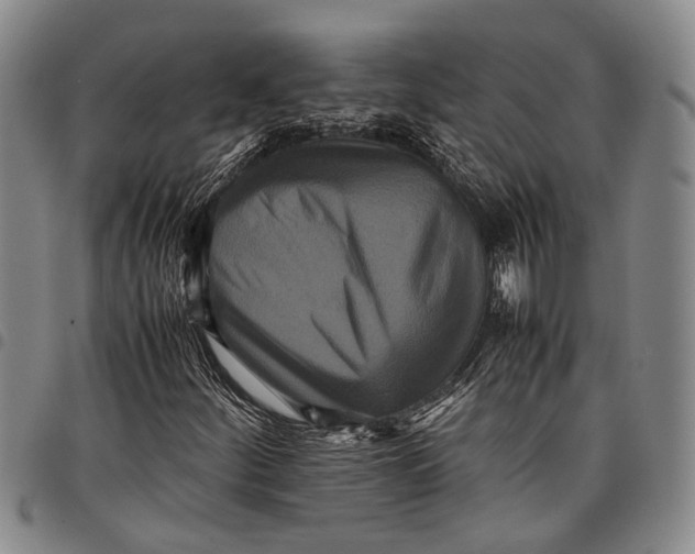 X0000097961252200804141019