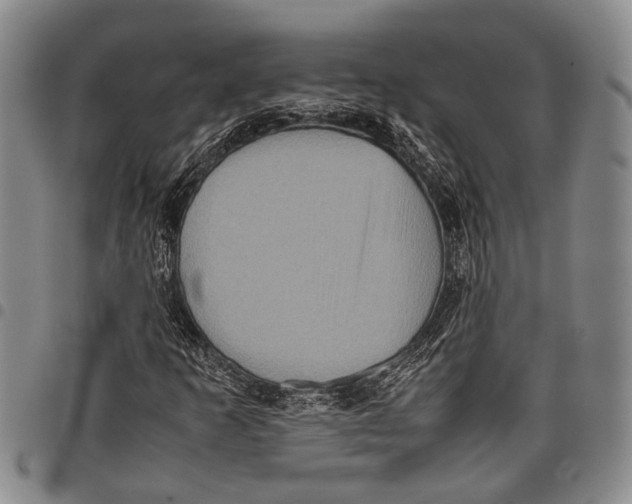 X0000097961253200804141019