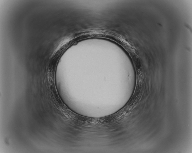 X0000097961255200804141019