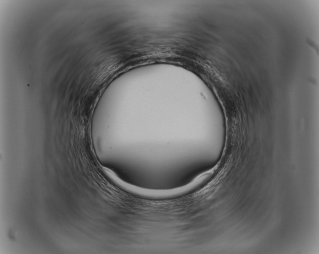 X0000097961257200804141019